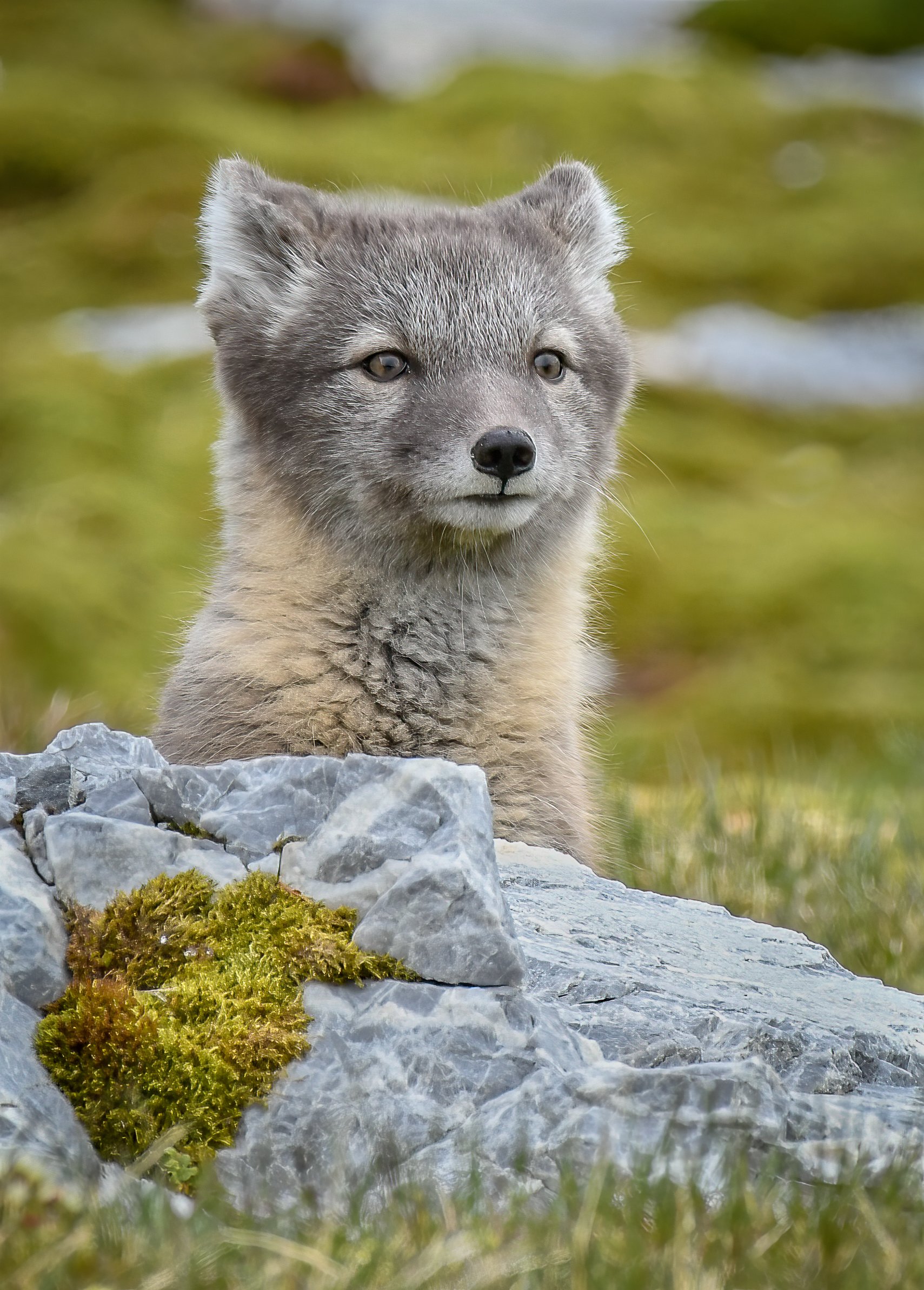 _DSC4723-Edit.jpg