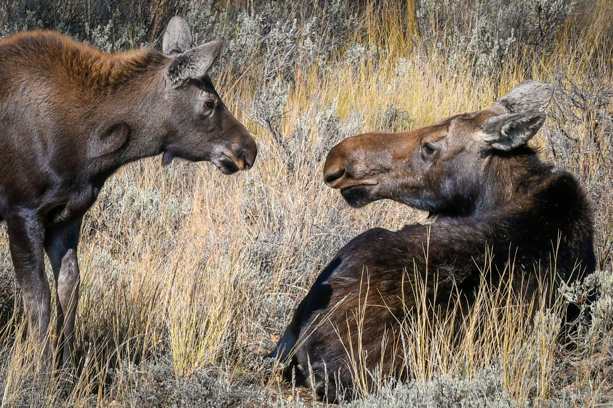 A tender moment between mom and baby.