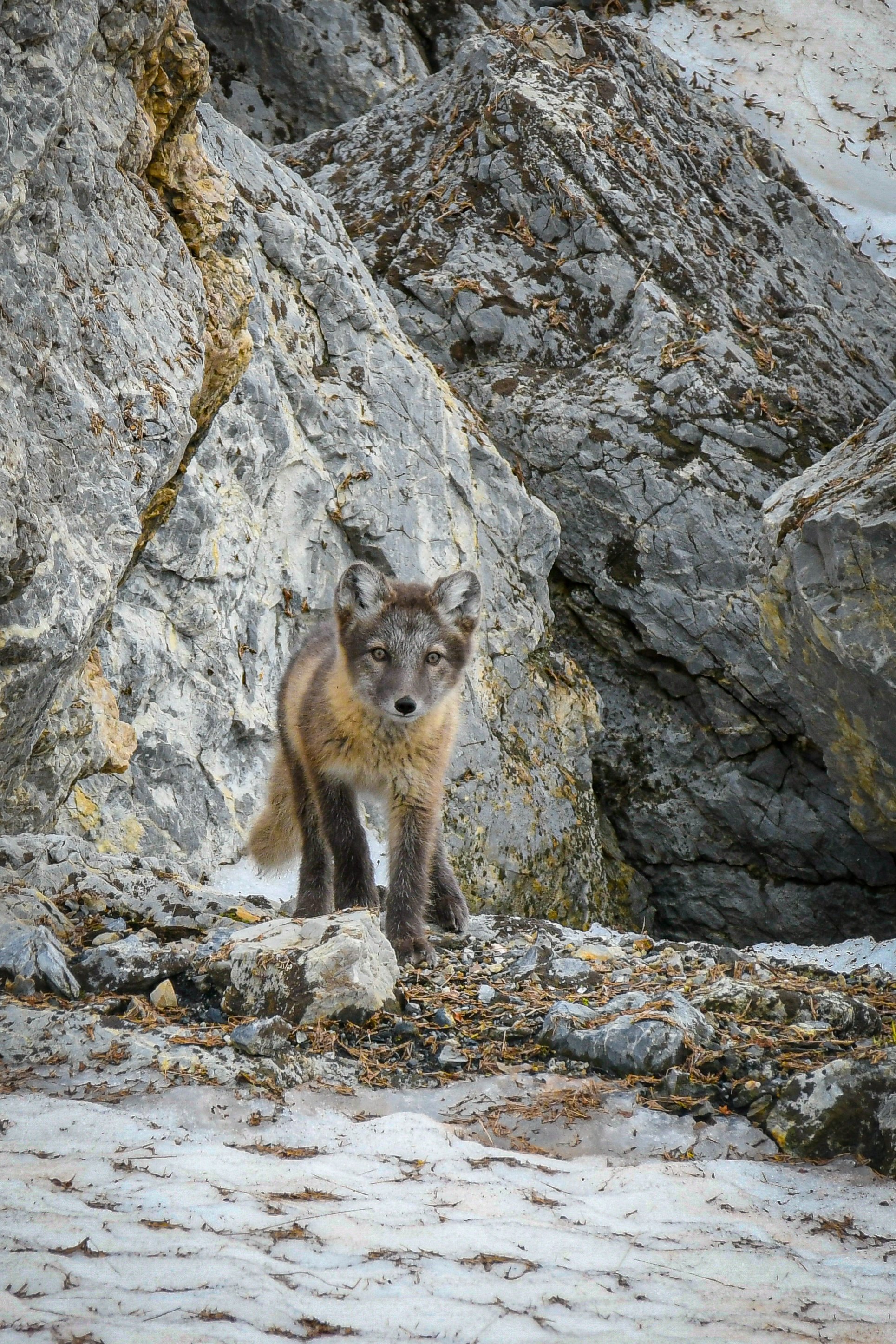 _DSC4744.jpg