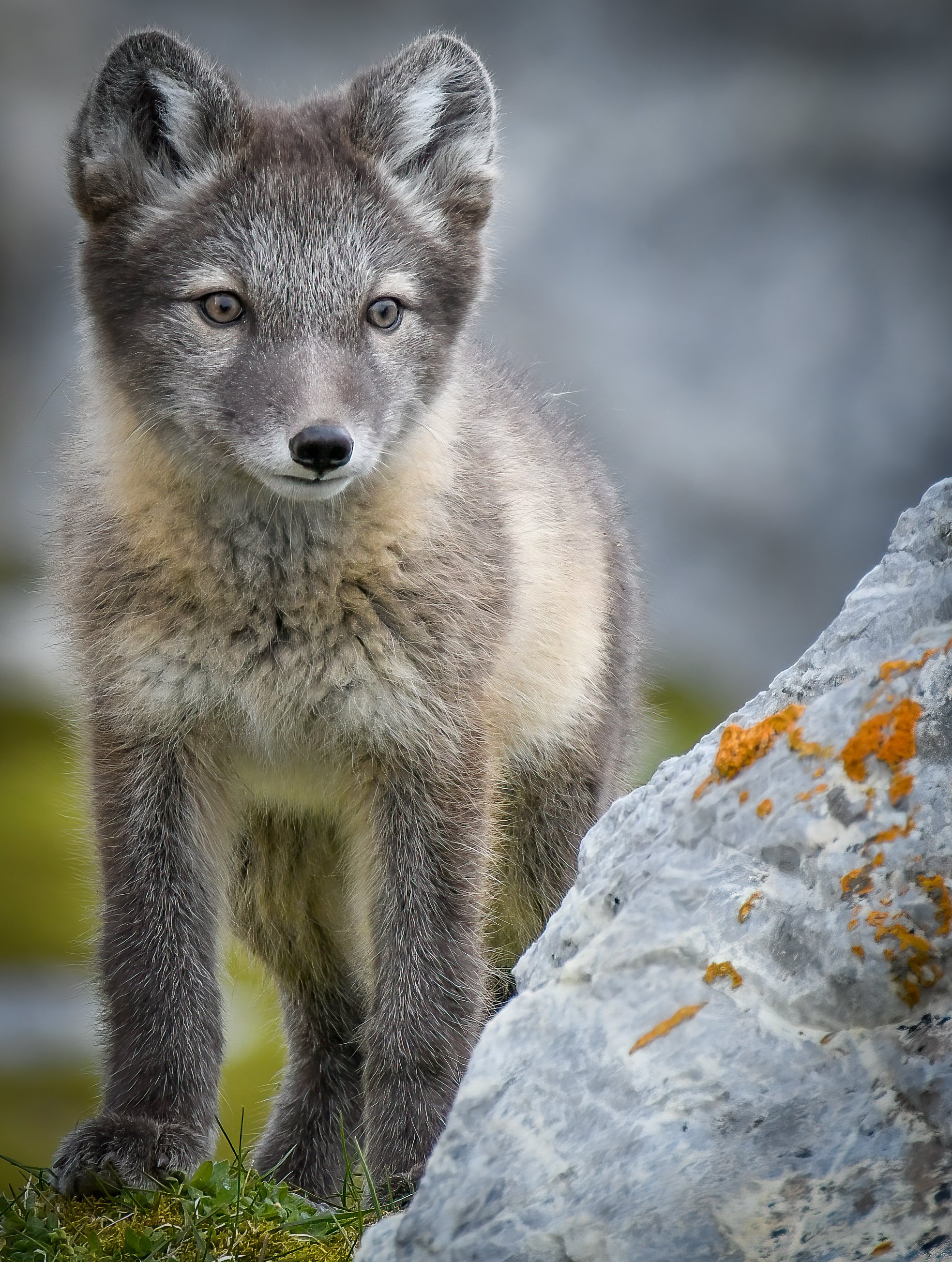 _DSC4779-Edit.jpg
