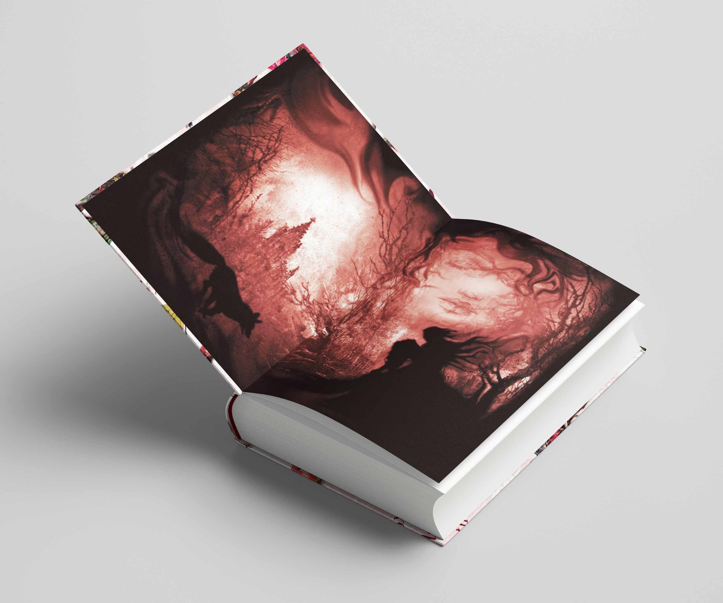 First edition front endpapers