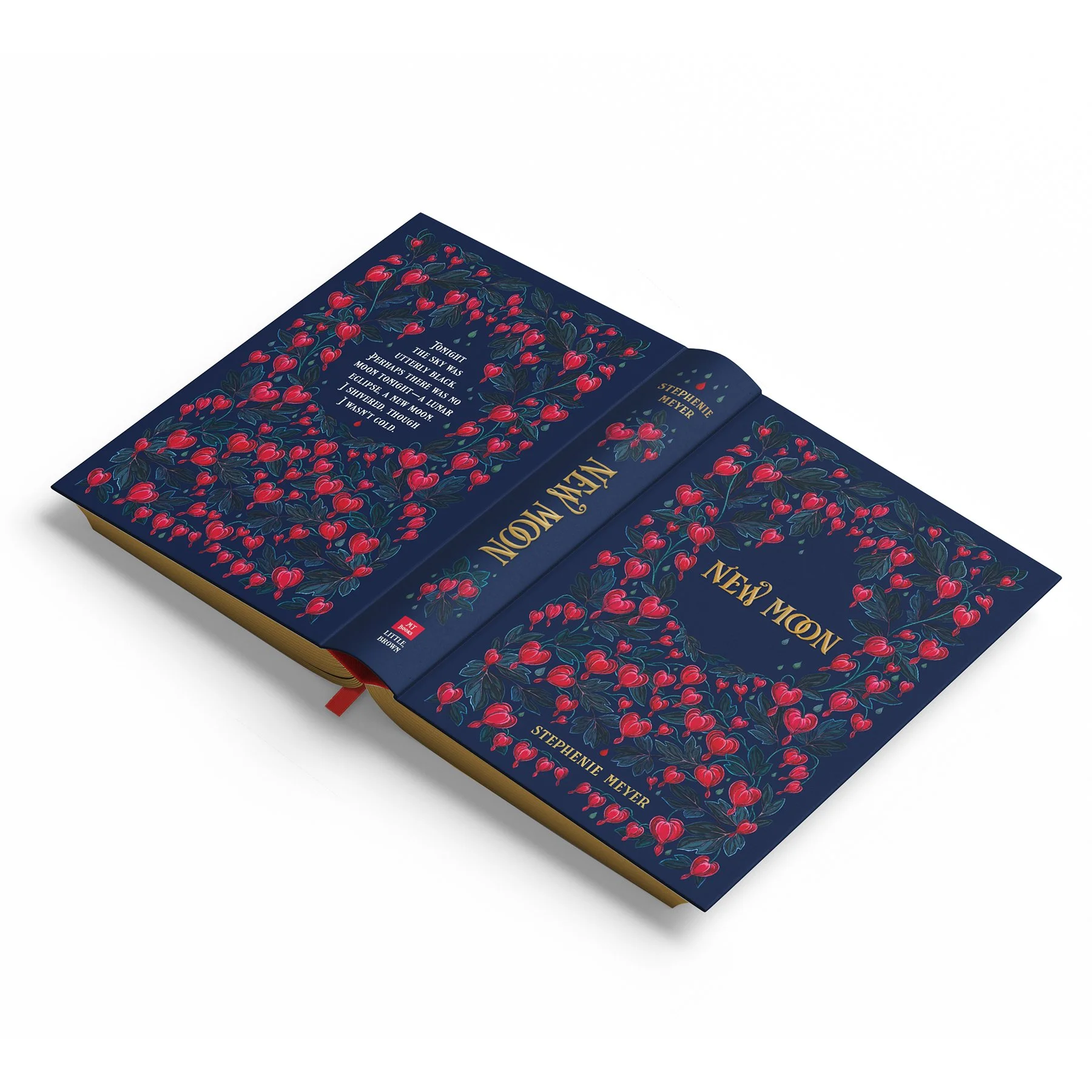 Portfolio LBYR Interior Image copy.jpg