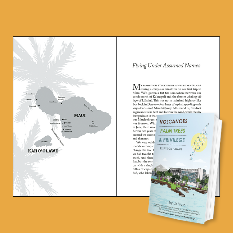 Volcanoes, Palm Trees, and Privilege Interior Design