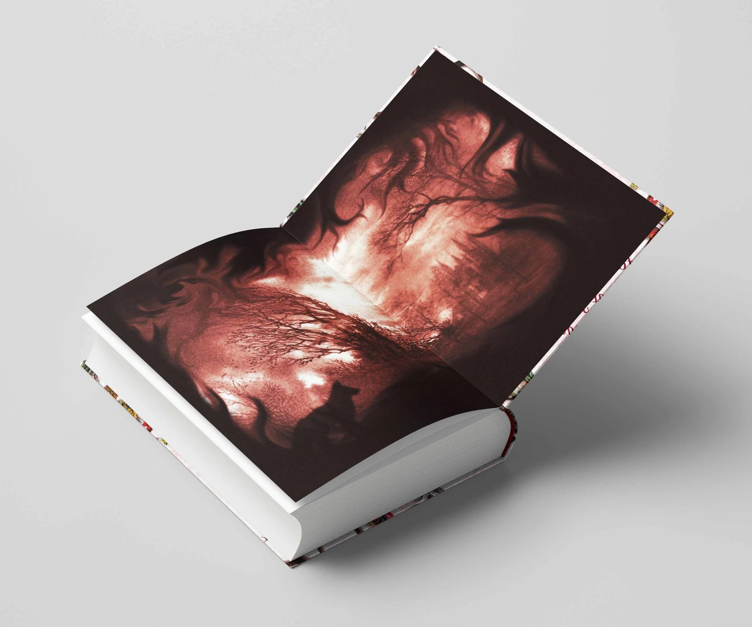 First edition back endpapers