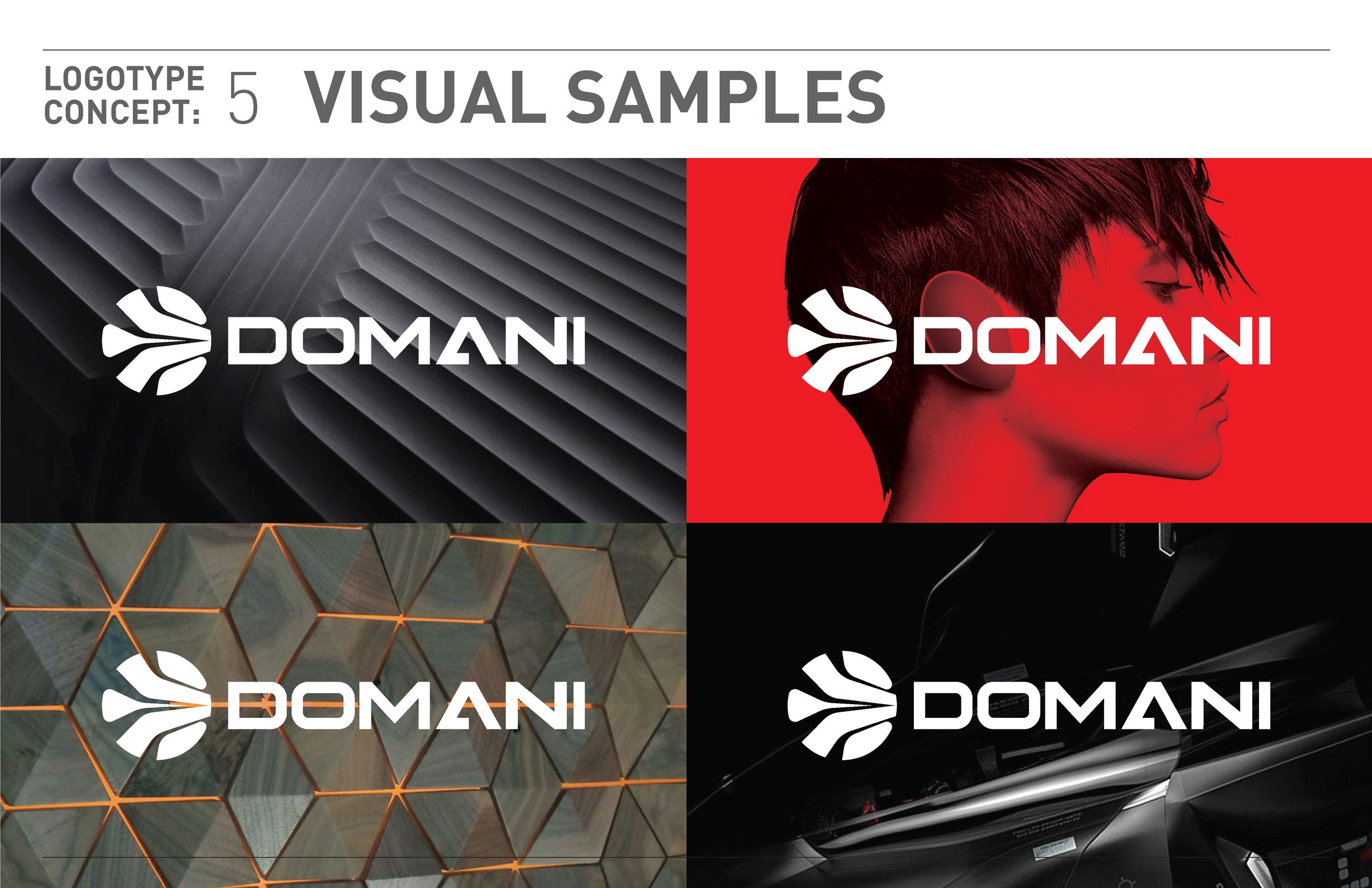 Domani Logo Development - Round 5 012016_Page_16.jpg