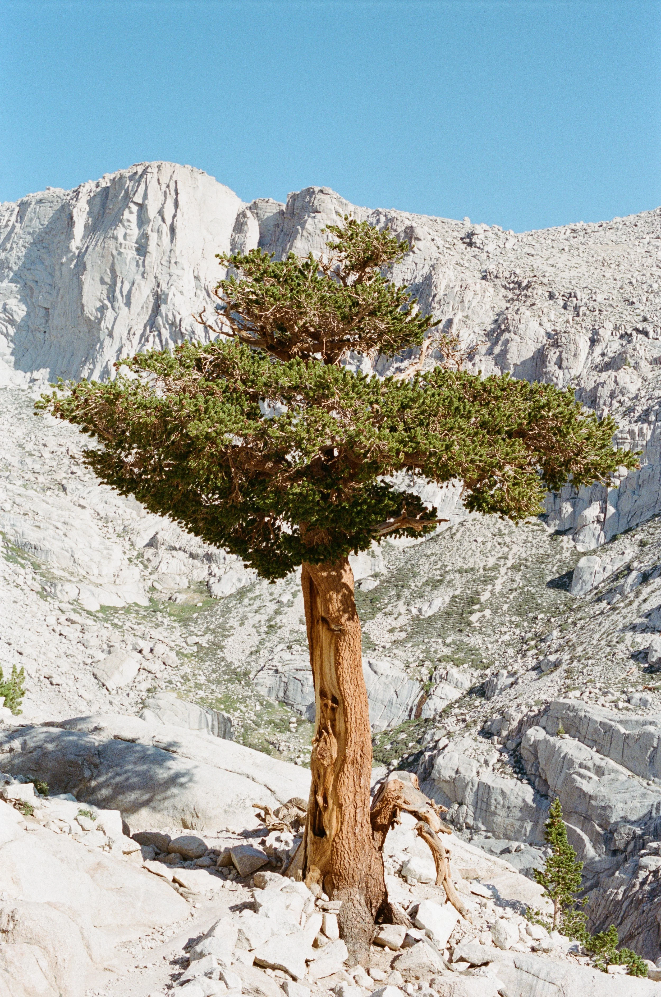 Copyright © Alexander Leo  2022