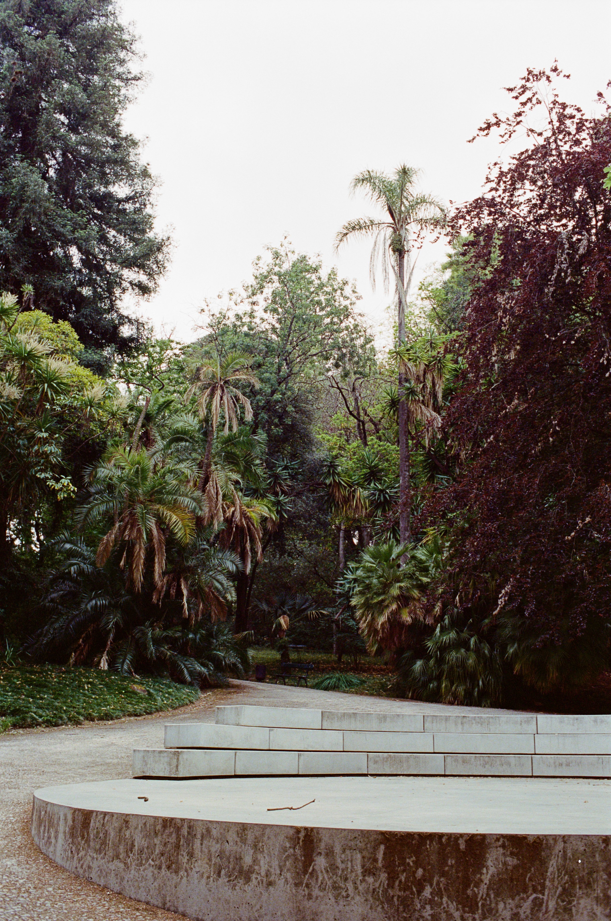 Copyright © Alexander Leo  2023