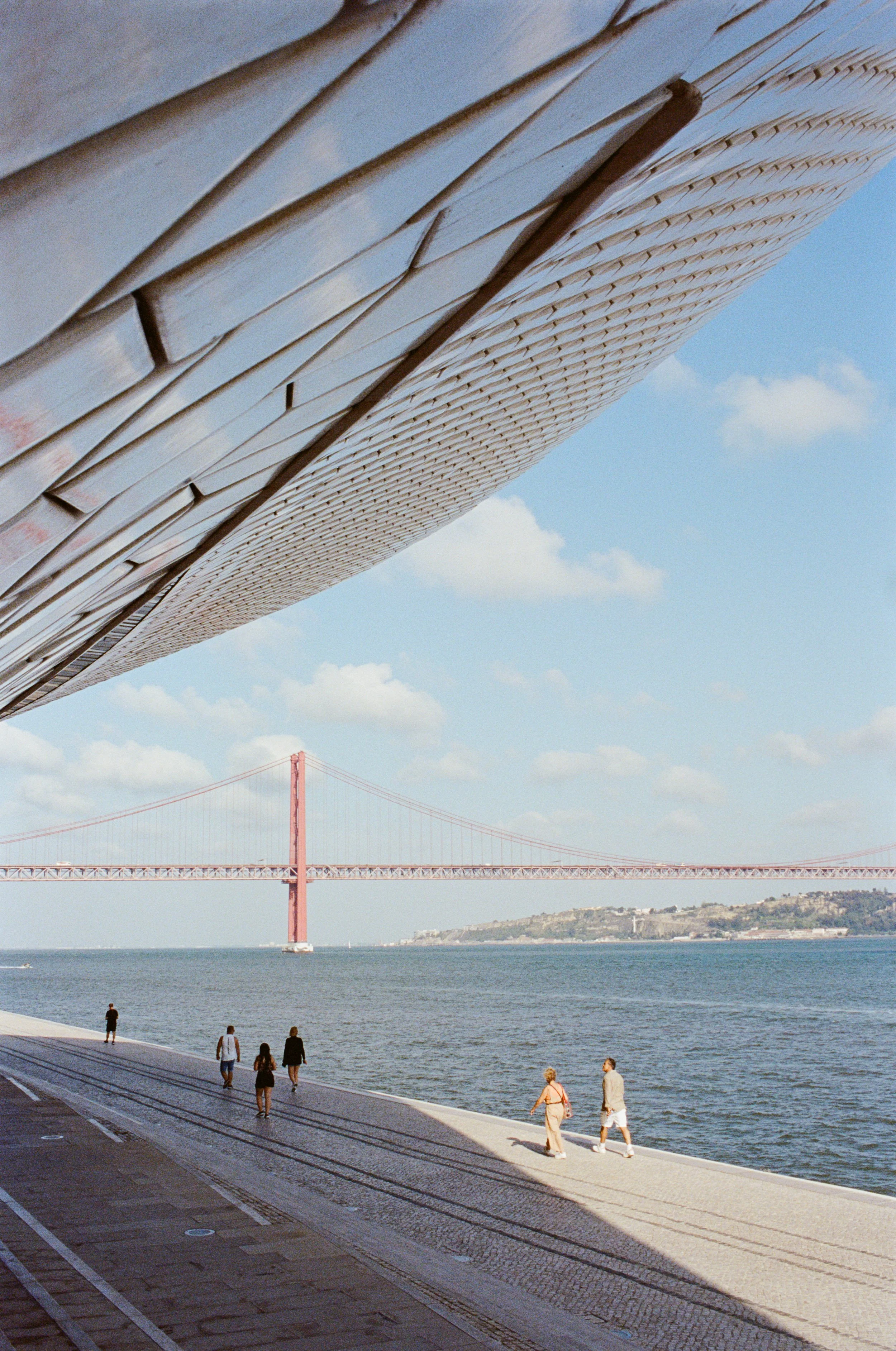 Copyright © Alexander Leo  2023