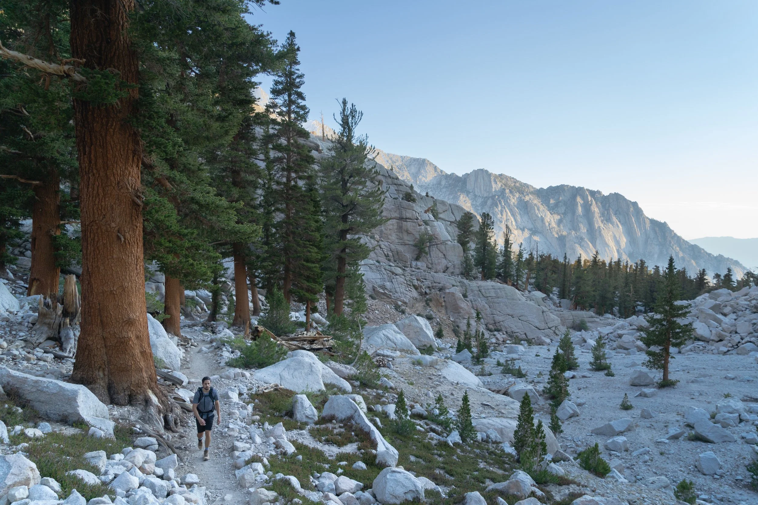 Copyright © Alexander Leo  2022