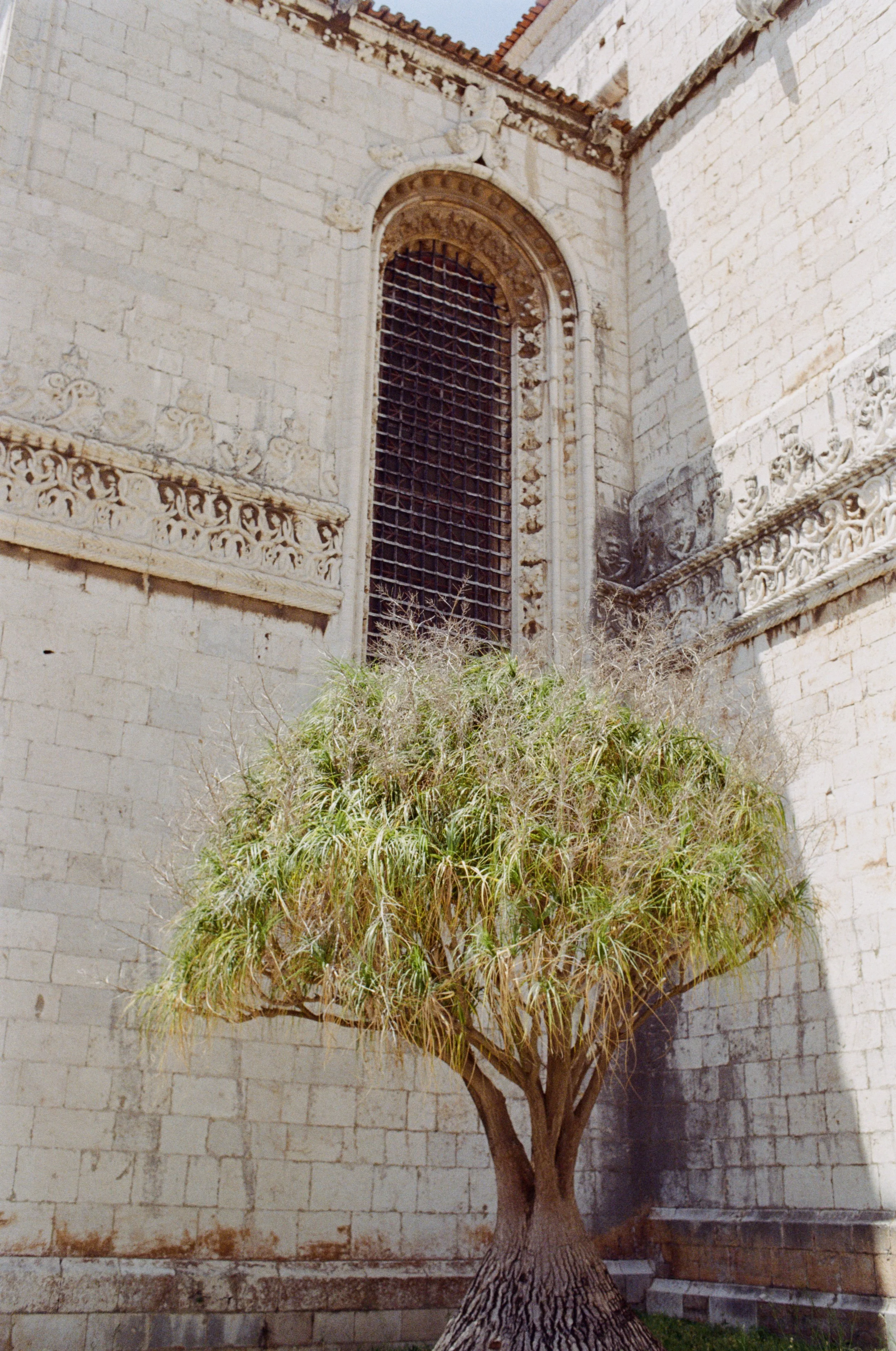 Copyright © Alexander Leo  2023