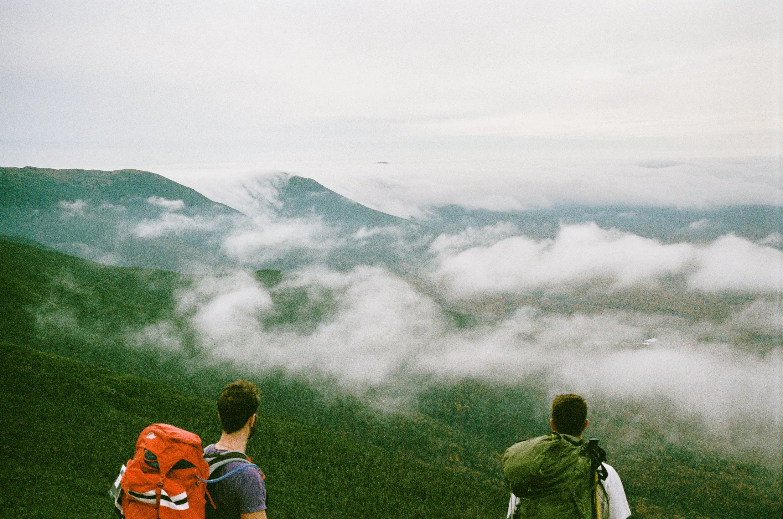 Copyright © Alexander Leo  2022