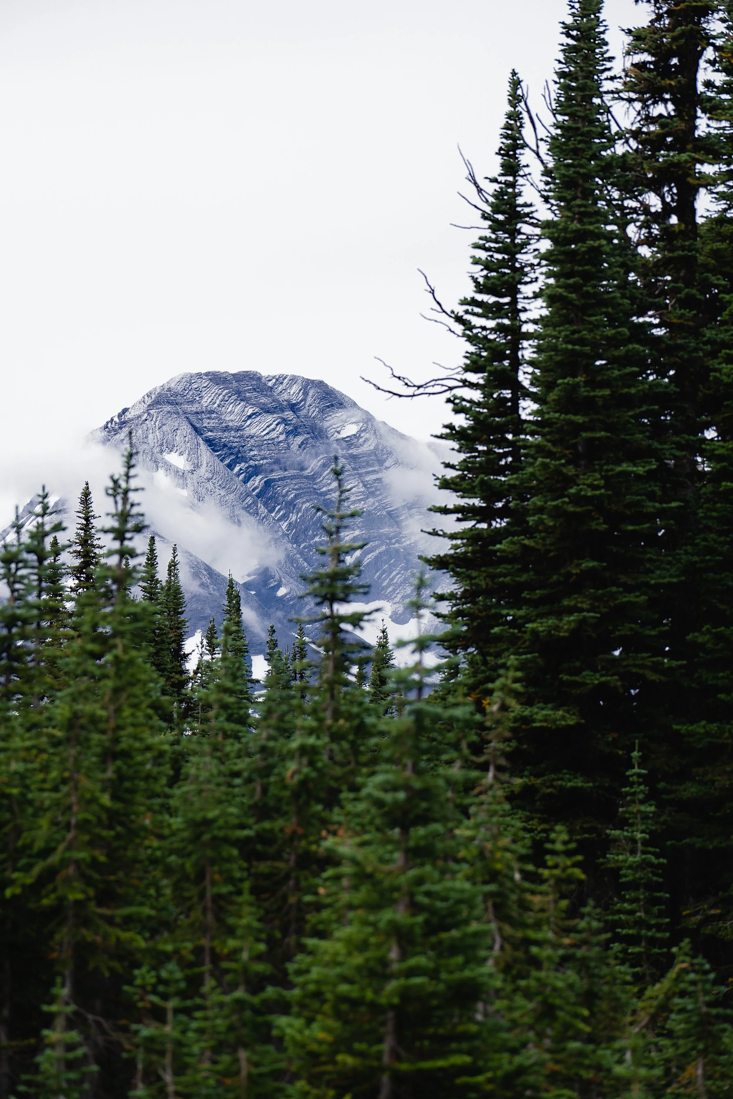 Copyright © Alexander Leo  2022