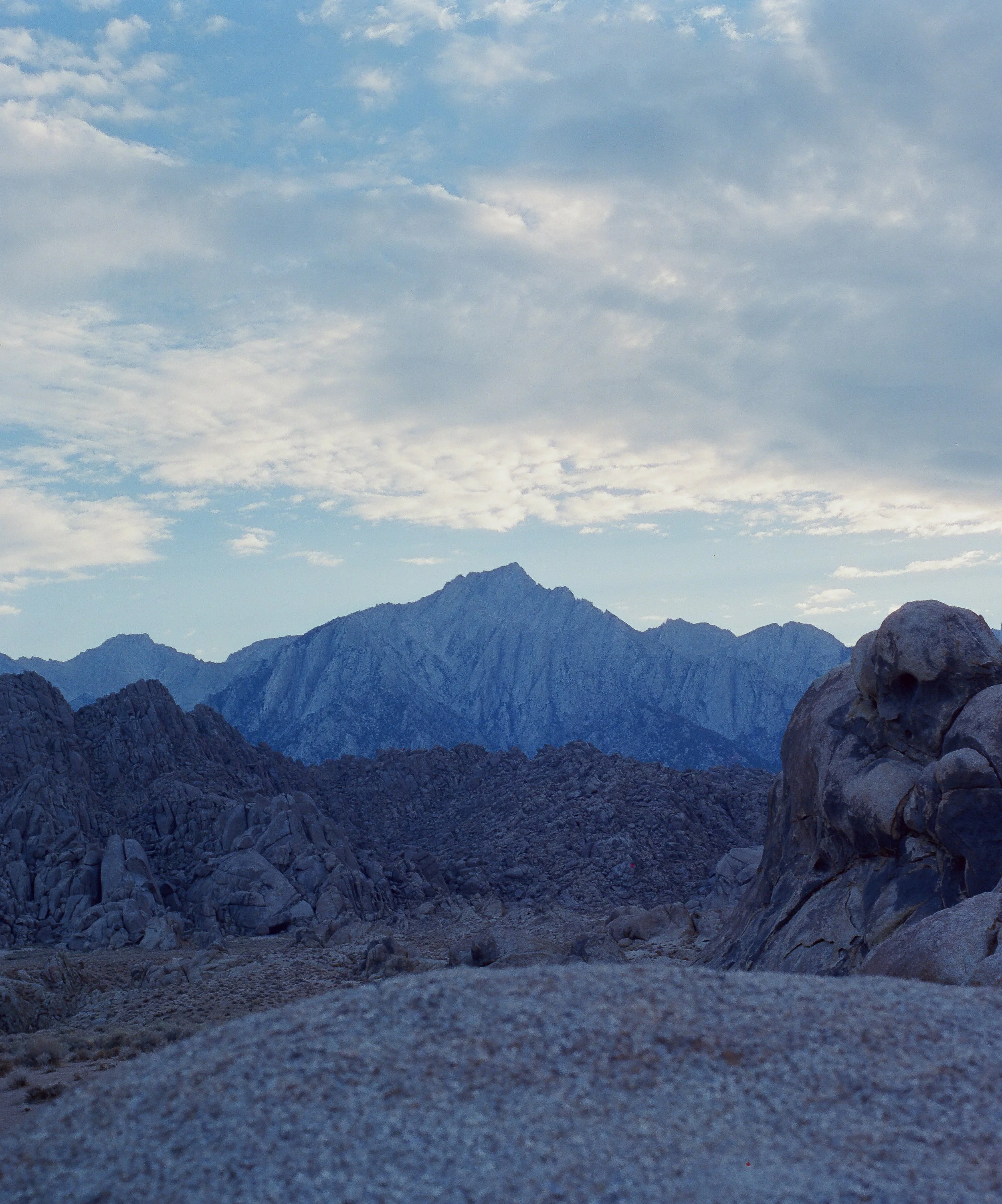 Copyright © Alexander Leo  2022