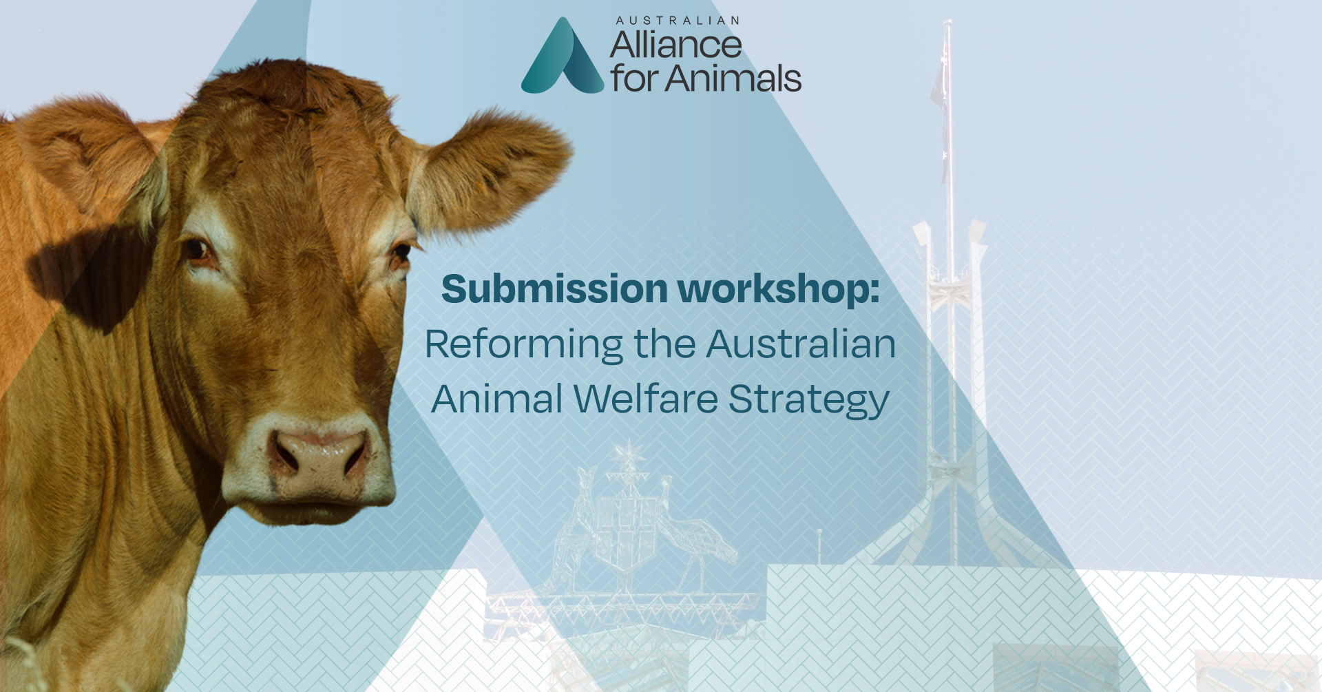 A brown cow looking at the camera overlayed over Parliament House with the text "Submission workshop: Reforming the Australian Animal Welfare Strategy"