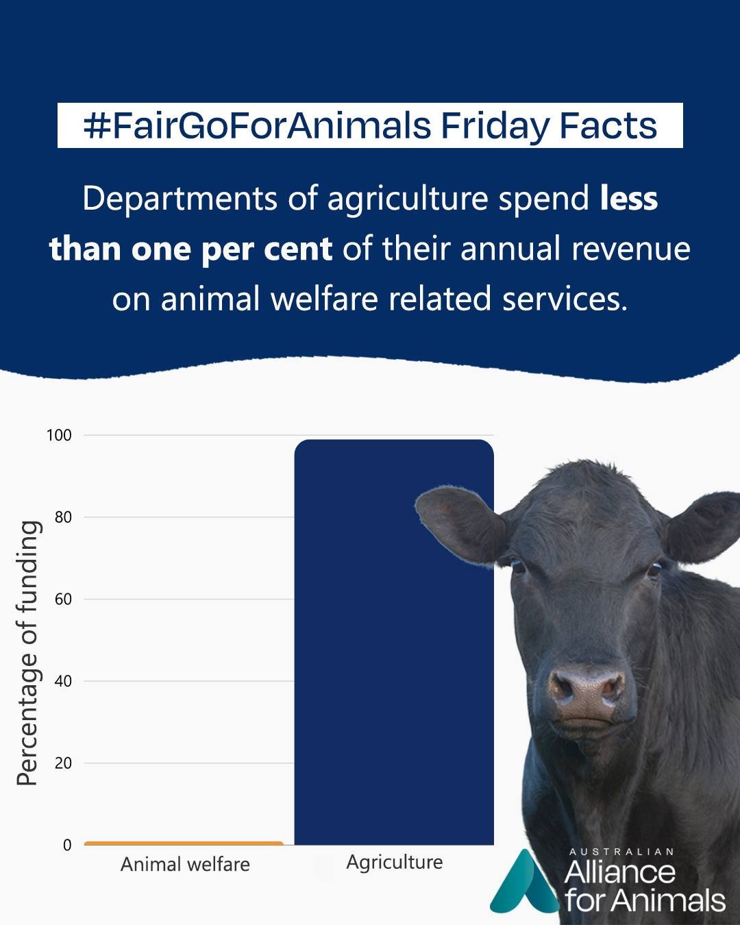 Beyond the fact that animal welfare services receive less than one per cent of funding, it's even more disheartening to discover that such services are not specifically identified in departmental operational expenditure records. Where there is mentio