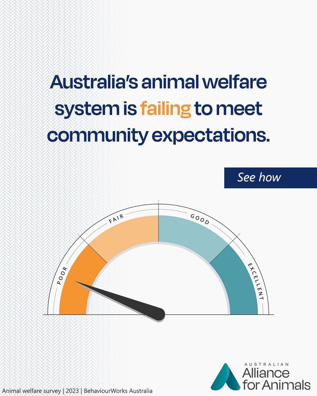 Australia is achieving a POOR grade on the animal welfare policy barometer - here's why 🐷.

The animal welfare policy barometer presents and evaluates the findings of a representative national survey exploring Australian attitudes and beliefs about 