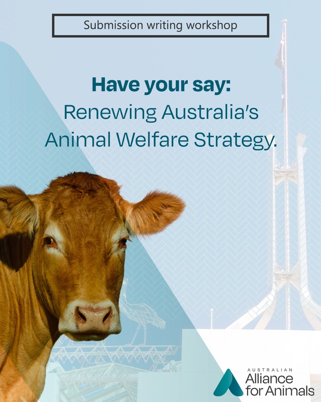 You&rsquo;re invited: Join our Australian Animal Welfare Strategy submission writing workshop. 

The Department of Agriculture, Fisheries and Forestry (DAFF) is renewing the Australian Animal Welfare Strategy (AAWS), and this is your chance to help i