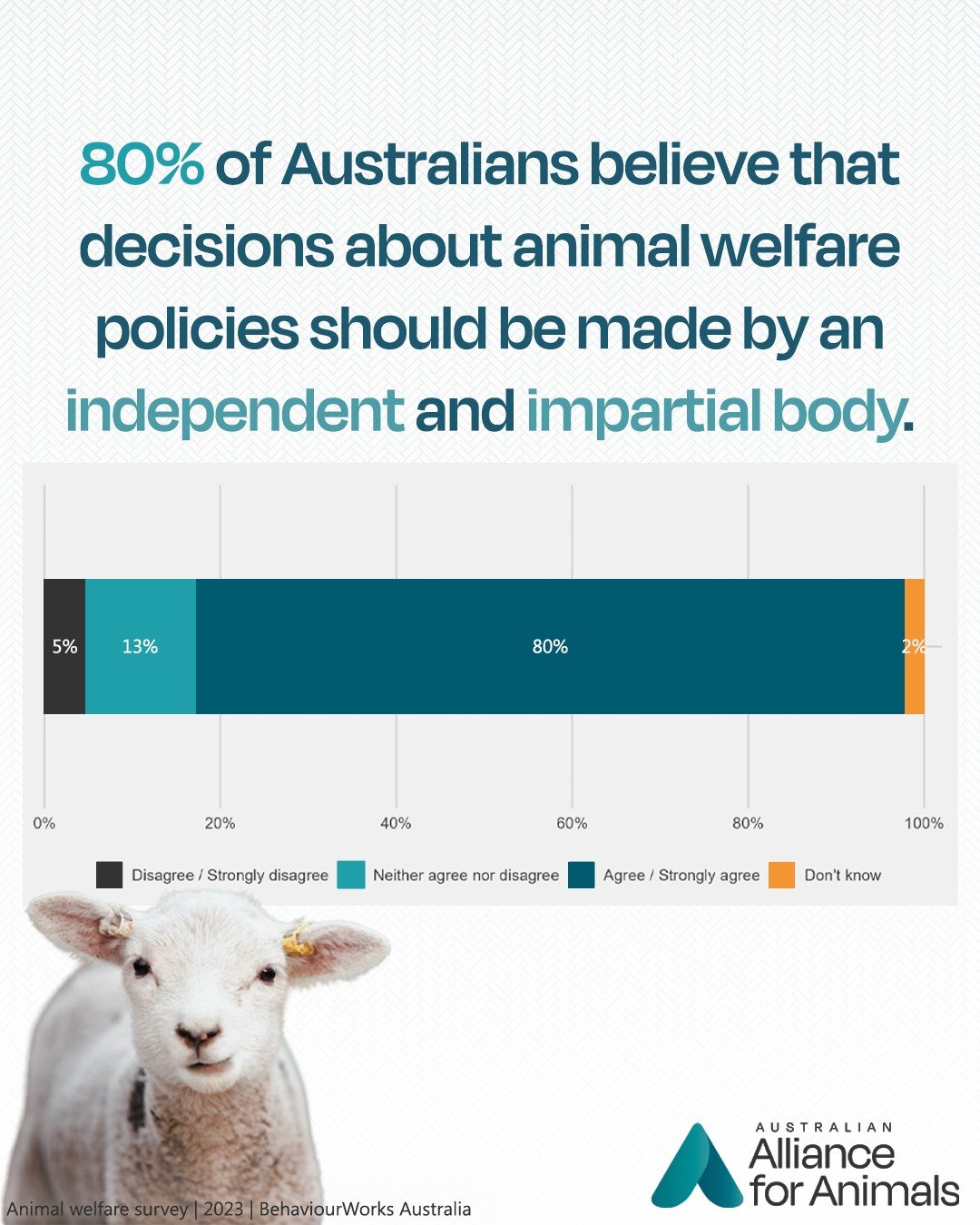 Under the current system, government bodies responsible for agriculture are in charge of policy decisions about animal welfare. As a result, productivity and profitability are often prioritised over the well-being of animals.

80% of Australians want