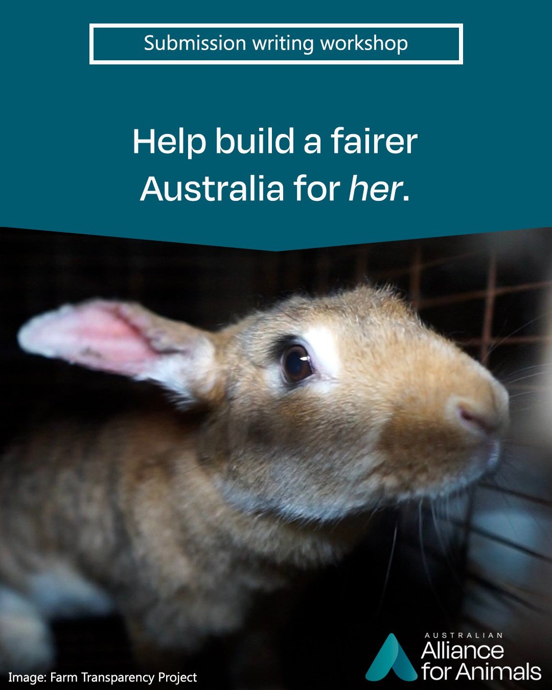 📢 Your input on Australia&rsquo;s Animal Welfare Strategy (AAWS) can help build a fairer Australia for animals. 

In order for the AAWS renewal to effectively fulfil its objectives, it is imperative that it integrates key components of the #FairGoFo