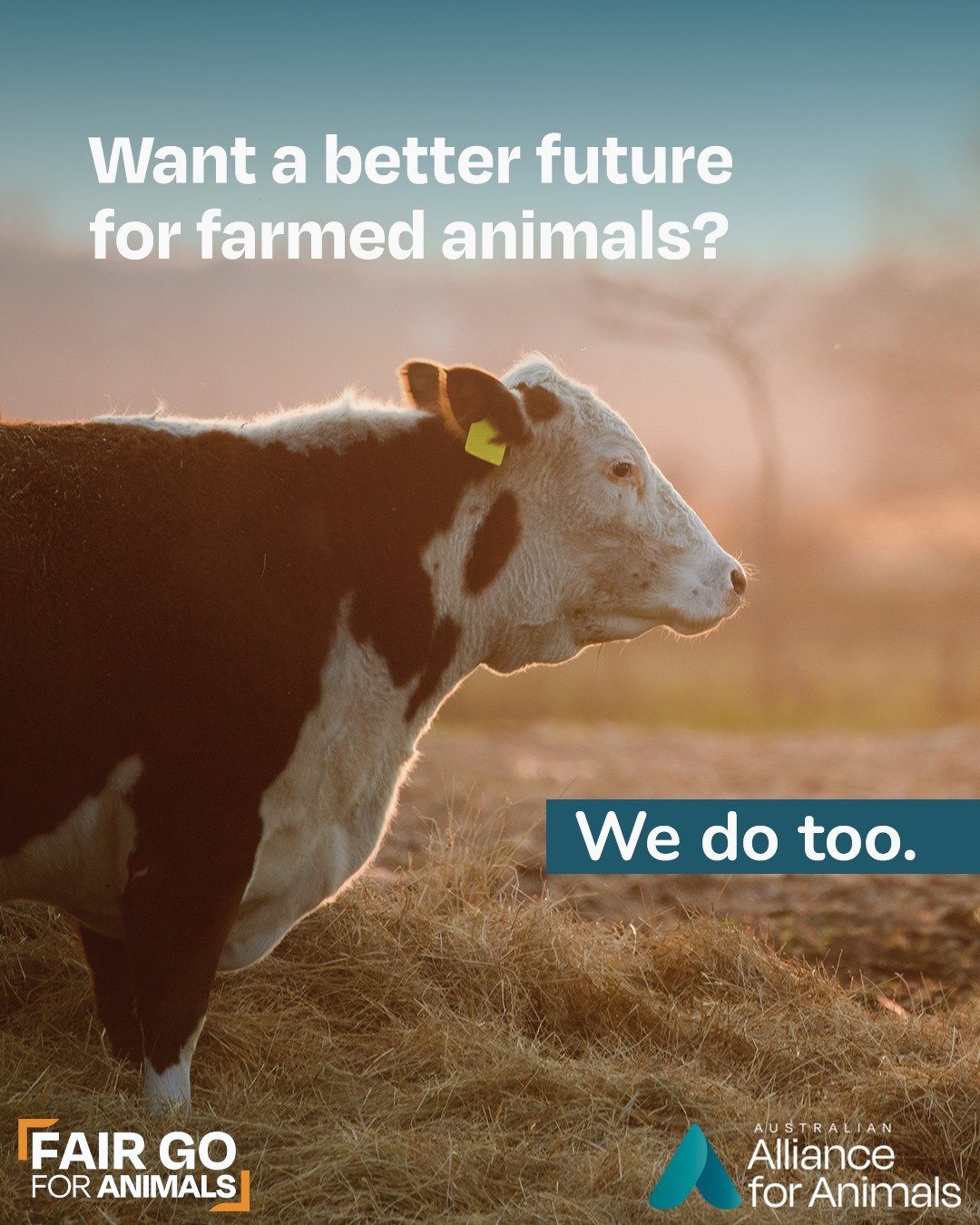 It&rsquo;s time to build a system that puts animal welfare first. 

Help make it possible by joining the movement: fairgoforanimals.org.au

#FairGoForAnimals #animalwelfare