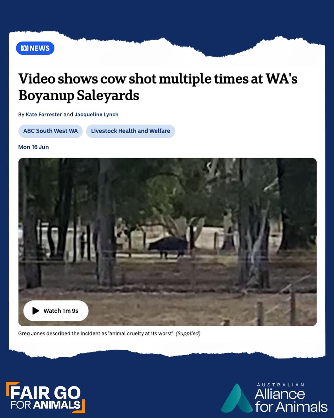 Last week, a confronting video of a cow being shot multiple times at a controversial WA saleyard was released. The response from authorities? No further action would be taken.

Veterinarian, Dr David Marshall said the incident was a reminder of the n