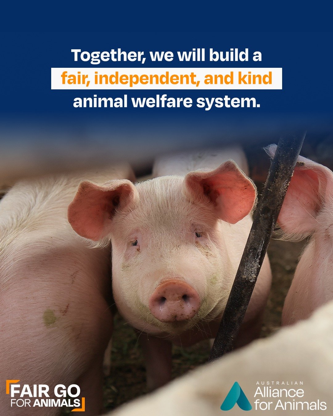 Right now, decisions about animals and their welfare are made by ministers and departments that exist to promote animal industries. That&rsquo;s a clear conflict of interest and it&rsquo;s left millions of animals without the protection they deserve.