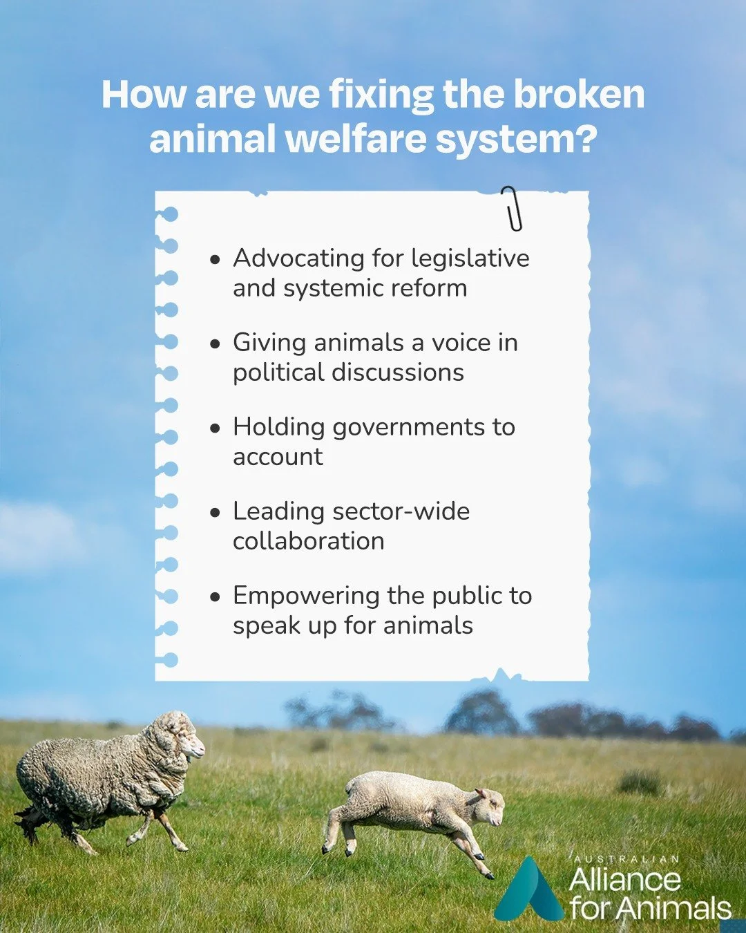 A fairer, more compassionate future for animals guides everything we do. We're working towards a world where laws, policies, and systems reflect the value of all animals.

Sound like your kind of future? Add your support today at www.fairgoforanimals