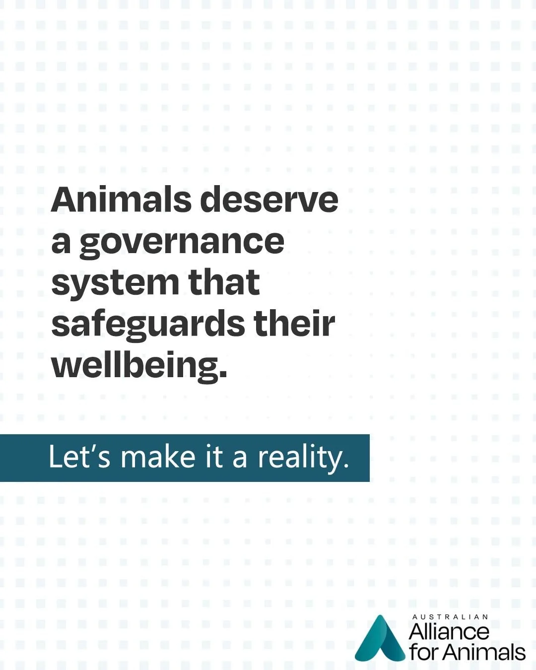A fairer, more compassionate future for animals guides everything we do.

We're working towards a world where laws, policies, and systems protect animals from harm.

Add your support today at www.fairgoforanimals.org.au