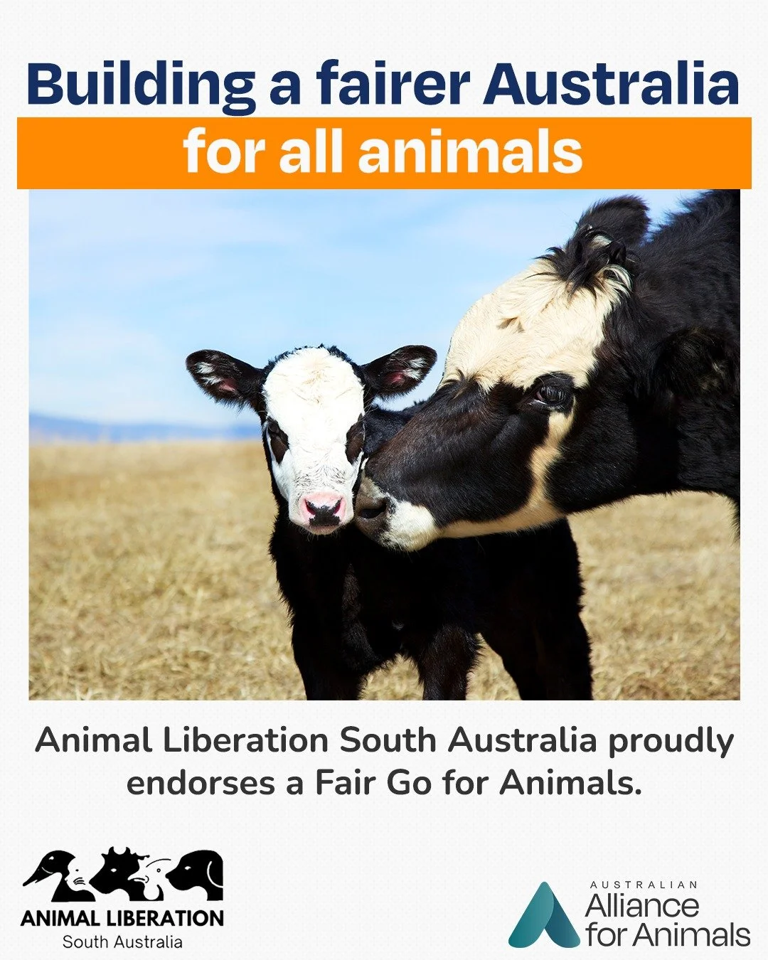 We&rsquo;re delighted to welcome @animalliberationsouthaustralia as a Fair Go for Animals ally.

As a long-standing grassroots organisation, Animal Liberation SA has worked tirelessly to expose cruelty, challenge industries that harm animals, and pro