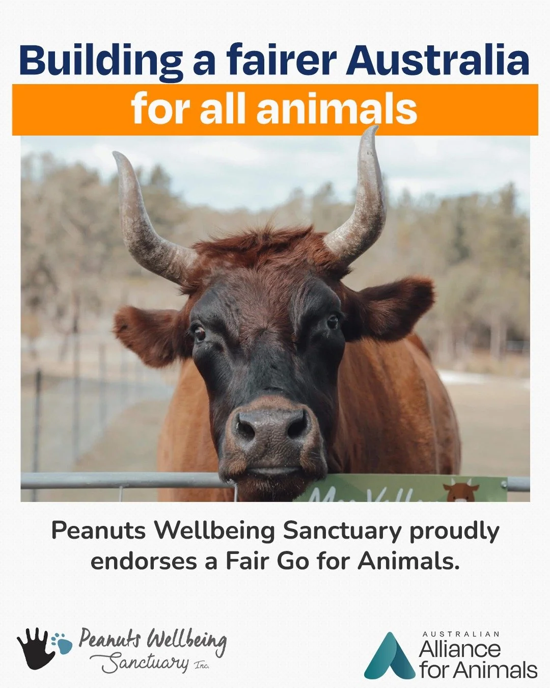 We&rsquo;re proud to welcome @peanuts_wellbeing_sanctuary as a Fair Go for Animals ally.

Peanuts is built on a powerful vision: breaking the cycle of abuse by connecting rescued animals with children who also need care, empathy, and hope. Their work