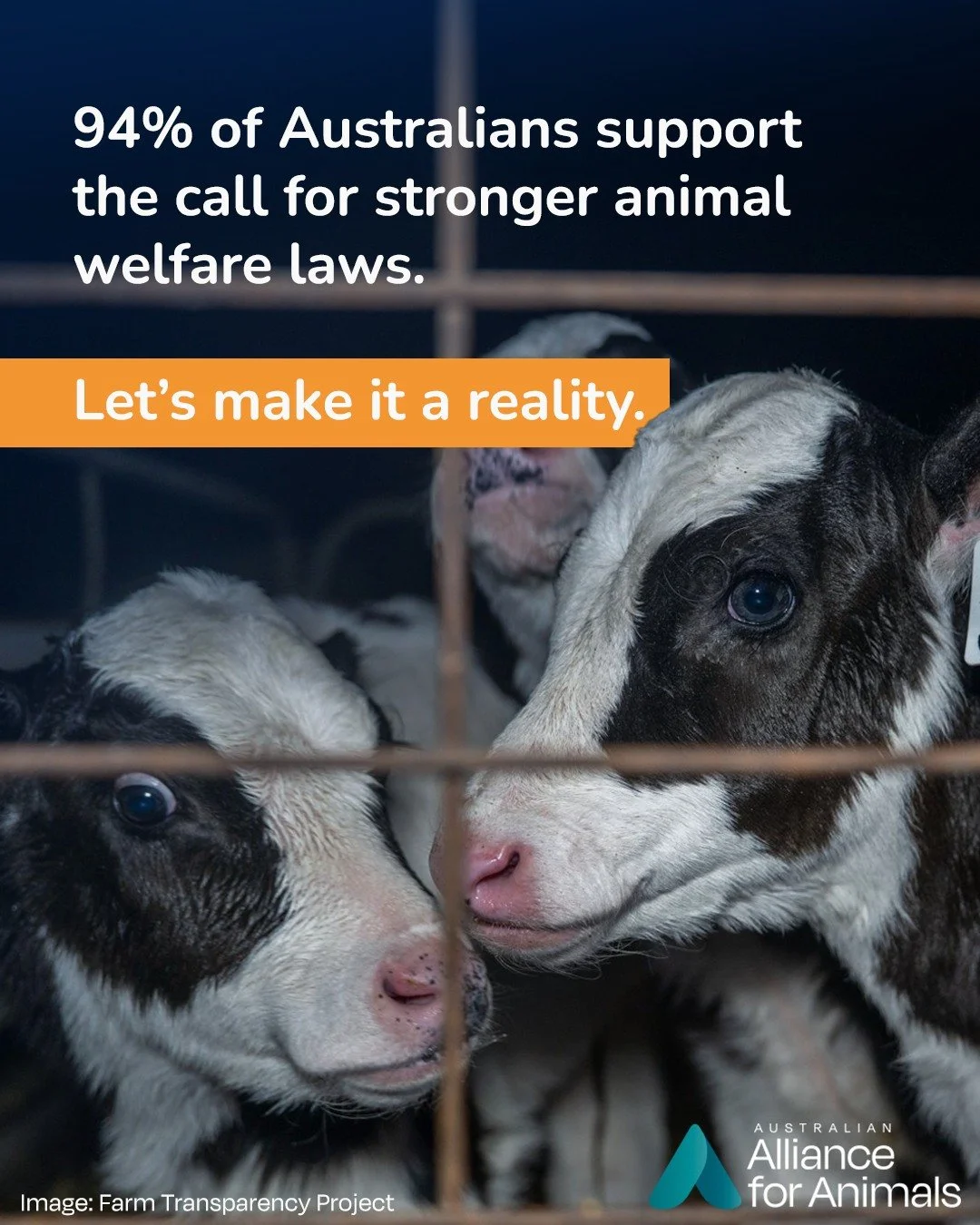 Australia prides itself on fairness &ndash; yet for too long, animals have been left out.

From dogs in backyards to dairy calves on farms and kangaroos in the outback, animals deserve protection, respect, and a fair go. Right now, our laws are falli