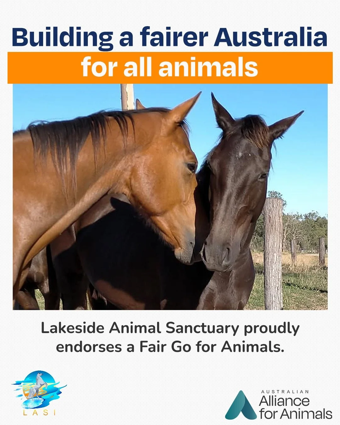 We&rsquo;re thrilled to welcome Lakeside Animal Sanctuary Incorporated - LASI as a Fair Go for Animals ally.

For over a decade, LASI has been transforming the lives of ex-racehorses. Through their work, they've seen firsthand how the system is faili