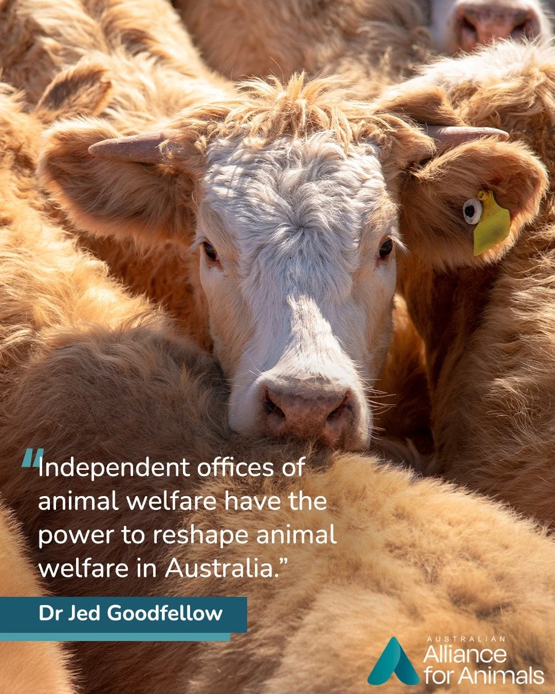 The @animalrightsforum brings together advocates from across the country who are working to strengthen protections for animals &ndash; from campaigners and carers to policy experts and community organisers.

This year in Sydney, the Forum will featur