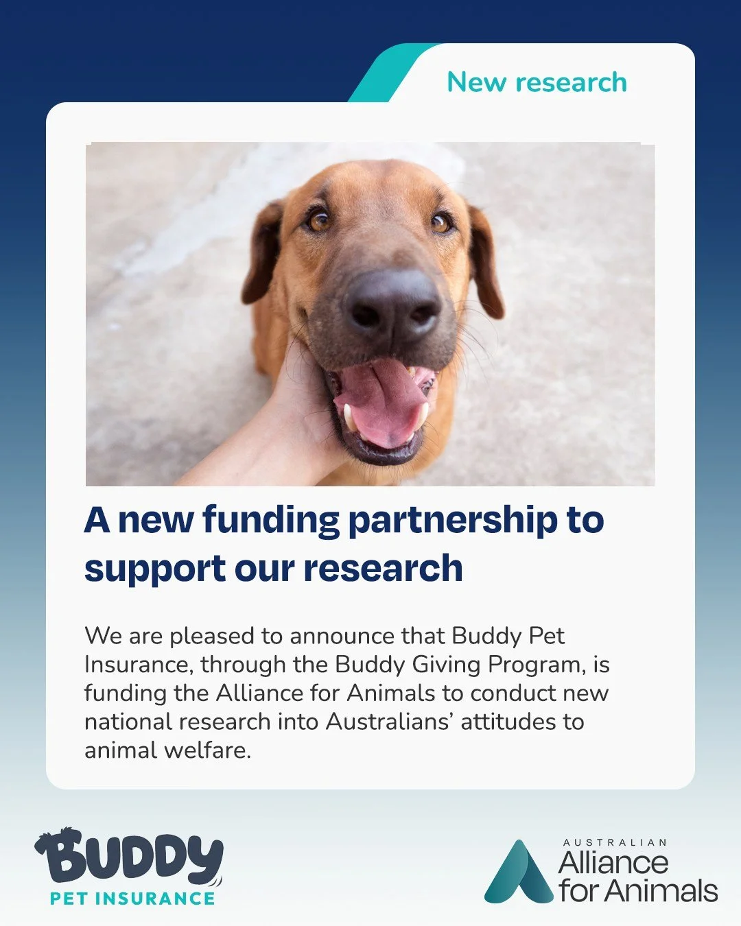 We&rsquo;re pleased to announce a new funding partnership with @buddypetinsurance  through its Buddy Giving Program, supporting new national research led by the Alliance for Animals.

This research builds on work we commissioned in 2023 with Behaviou