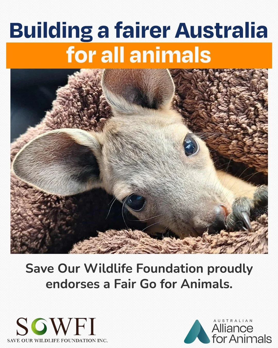We&rsquo;re proud to welcome @saveourwildlifefoundation as a Fair Go for Animals ally.

As a science-led, frontline wildlife rescue and rehabilitation organisation, SOWFI knows that real protection for wildlife doesn&rsquo;t stop at rescue and releas