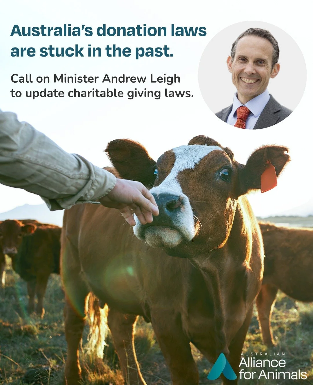Australians care deeply about animals. Our charitable giving laws should reflect that.

Right now, outdated charity laws are limiting how animal welfare organisations can fundraise &mdash; not because their work lacks impact, but because advocacy, ed