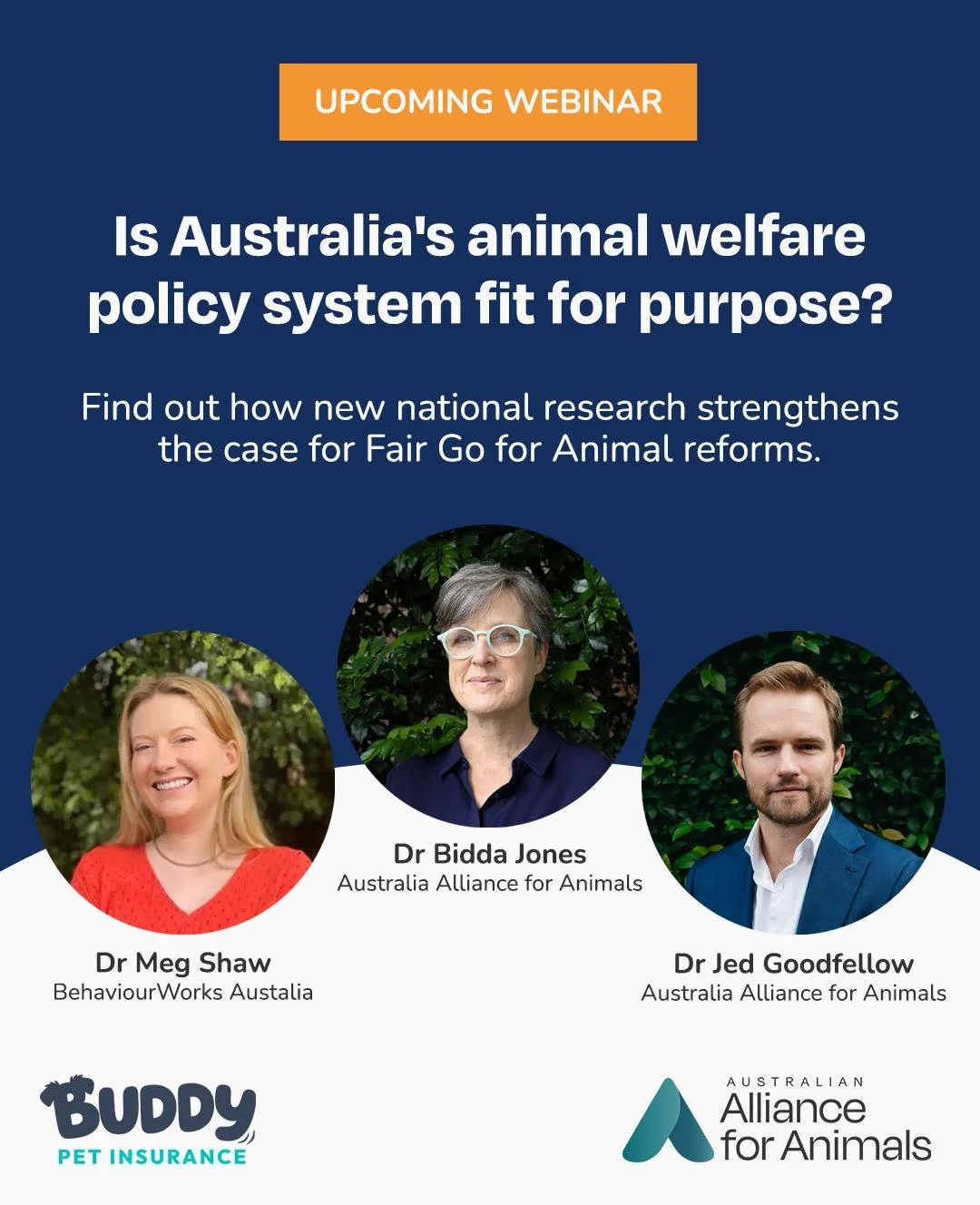 The results are in: Australians care about animal welfare, but are their expectations being met?

With support from the Buddy Giving Program, we commissioned BehaviourWorks Australia to find out what Australians really think about animal sentience, w