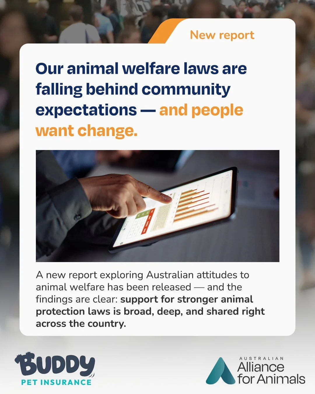 New research reveals something important: From city to country, Australians support the need for stronger animal welfare laws.

At the Alliance, we&rsquo;re using this research to support the call for a modern, independent, and evidence-based animal 