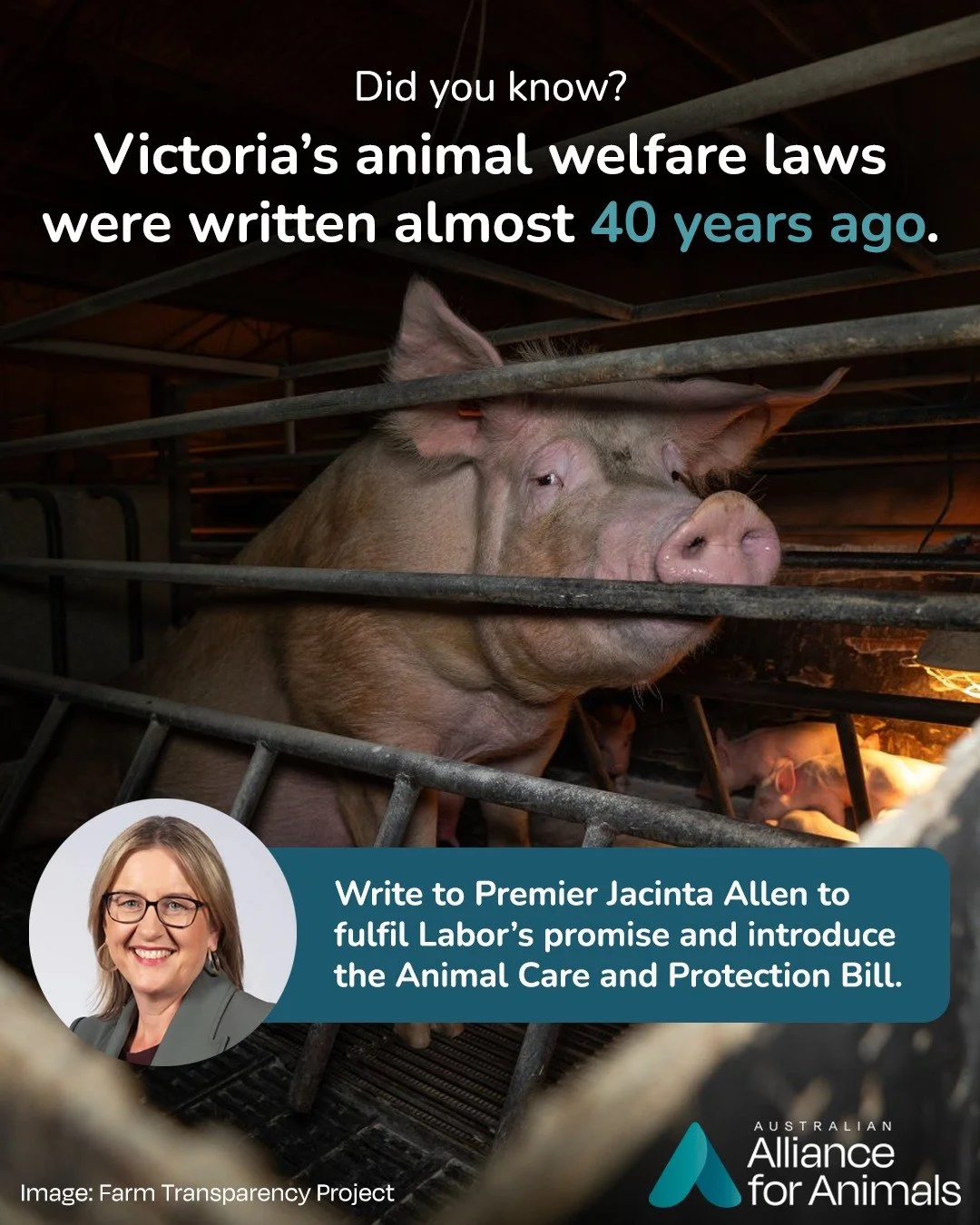 They promised to fix this in 2017. Now, nearly a decade later, they&rsquo;ve walked away &ndash; with no timeline, no plan, and no accountability.

Victoria&rsquo;s animal welfare laws do not reflect modern science or community expectations.

The pro