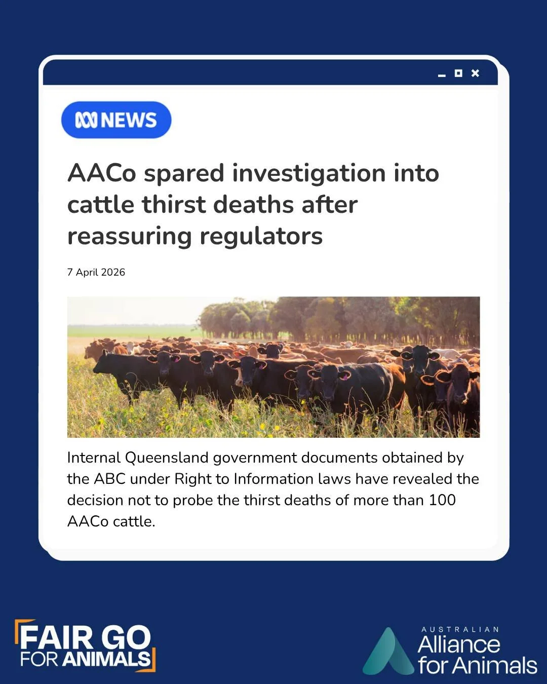 Over 100 cattle die of thirst, and DPI Qld declines to investigate because the company responsible told them everything was fine.

The department even gave the company a &ldquo;heads up&rdquo; about media inquiries relating to the incident.

Serious 
