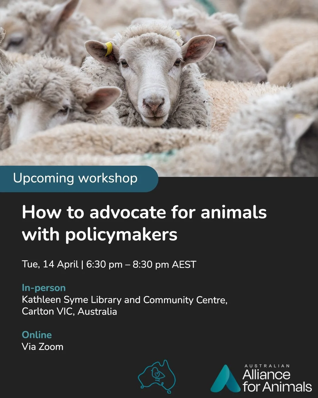 Want to find out how to effectively influence decision-makers for animals?

We&rsquo;re teaming up with Amplify for Animals for a practical, hands-on workshop that will give you the tools to advocate effectively with your MP.

You&rsquo;ll learn:
✔️ 