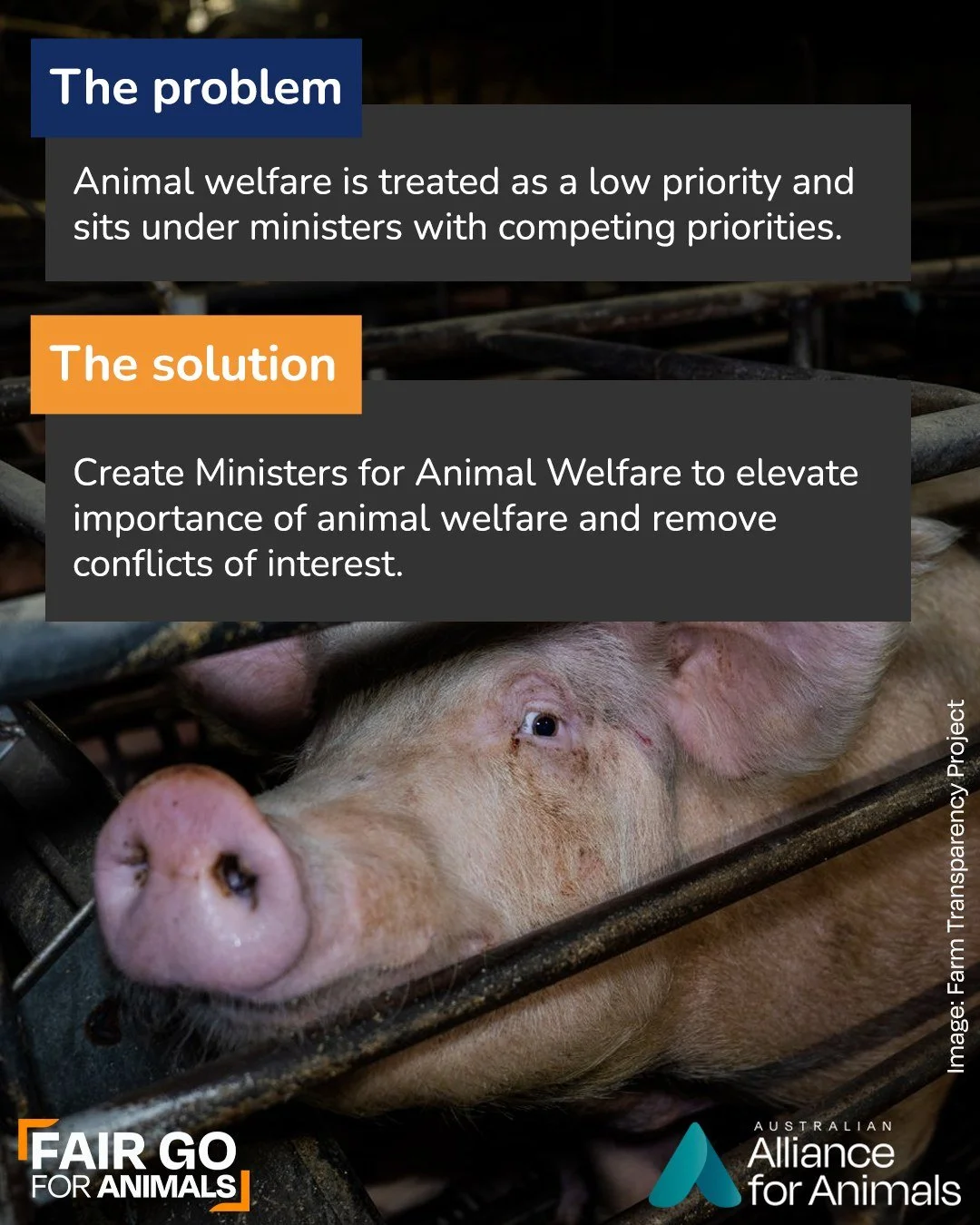 Animal welfare is overseen by ministers responsible for agriculture and other animal use industries.

That means the same people tasked with increasing industry productivity are also responsible for protecting animals &ndash; creating clear competing