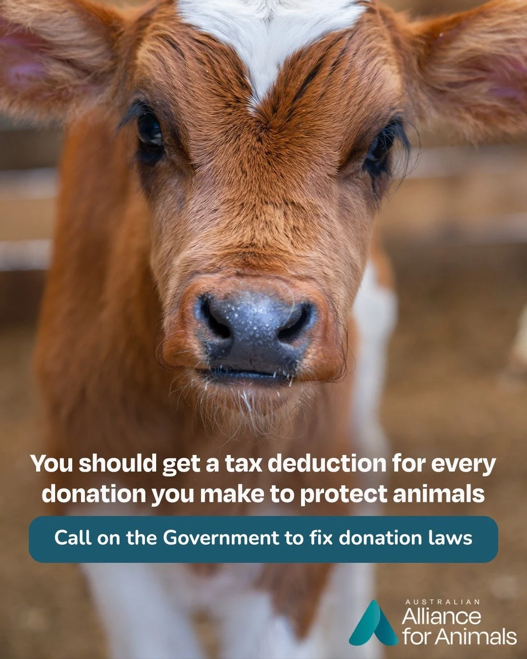Why should your donation be treated differently? Right now, Australia&rsquo;s charity laws mean you can&rsquo;t always claim a tax deduction for supporting the animal protection work you believe in.

Many organisations working to address animal cruel