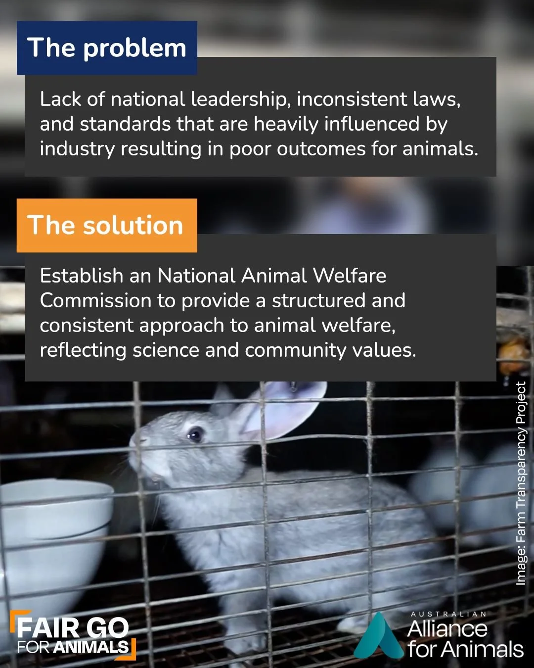 Right now, Australia&rsquo;s animal welfare system is fragmented, inconsistent, and heavily influenced by industry.

There&rsquo;s a lack of national leadership guiding outcomes &ndash; meaning protections vary across states, progress is glacial, and