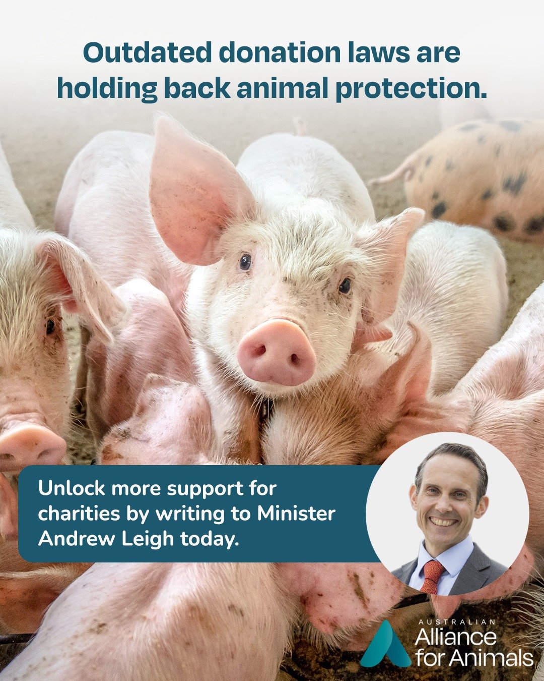 In Australia, many organisations working to address animal cruelty at its source aren&rsquo;t eligible for tax-deductible donations. That means supporters like you can miss out on the tax benefits that should come with giving.

It doesn&rsquo;t refle