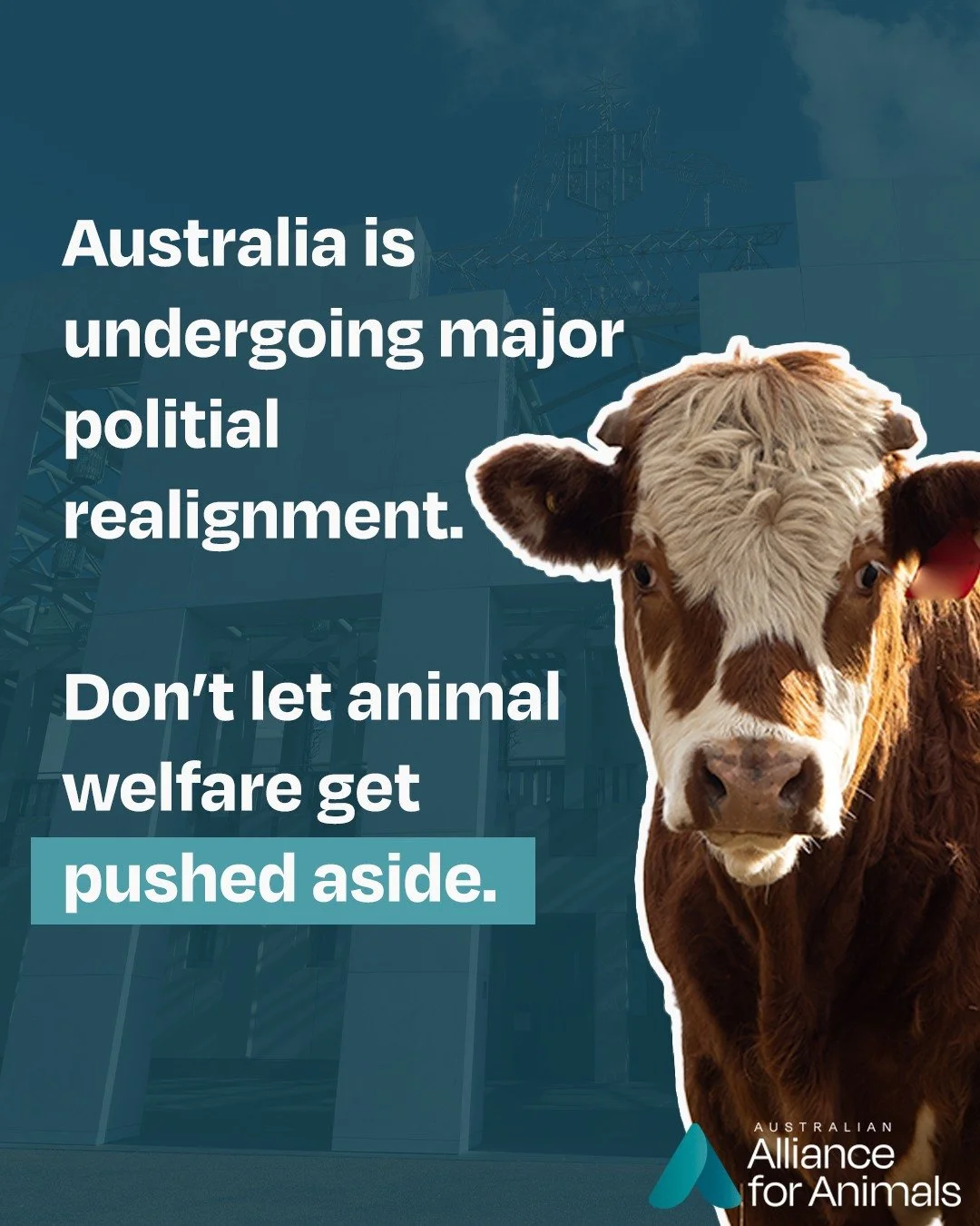 Will you help us protect animals in this changing political landscape?

Keeping animal welfare reform on the political agenda has never been more important. As political priorities shift across Australia, we're inside parliament representing the inte