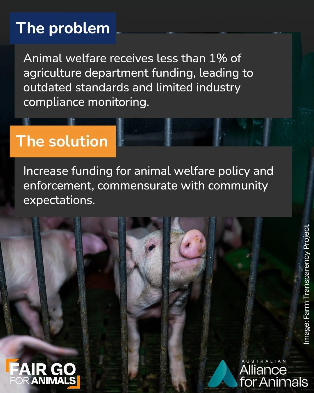 Funding and resourcing for programs and services are strong indicators of a government&rsquo;s priorities &mdash; and animal welfare is falling short.

Less than 1% of agriculture department funding goes to animal welfare, while industry development 