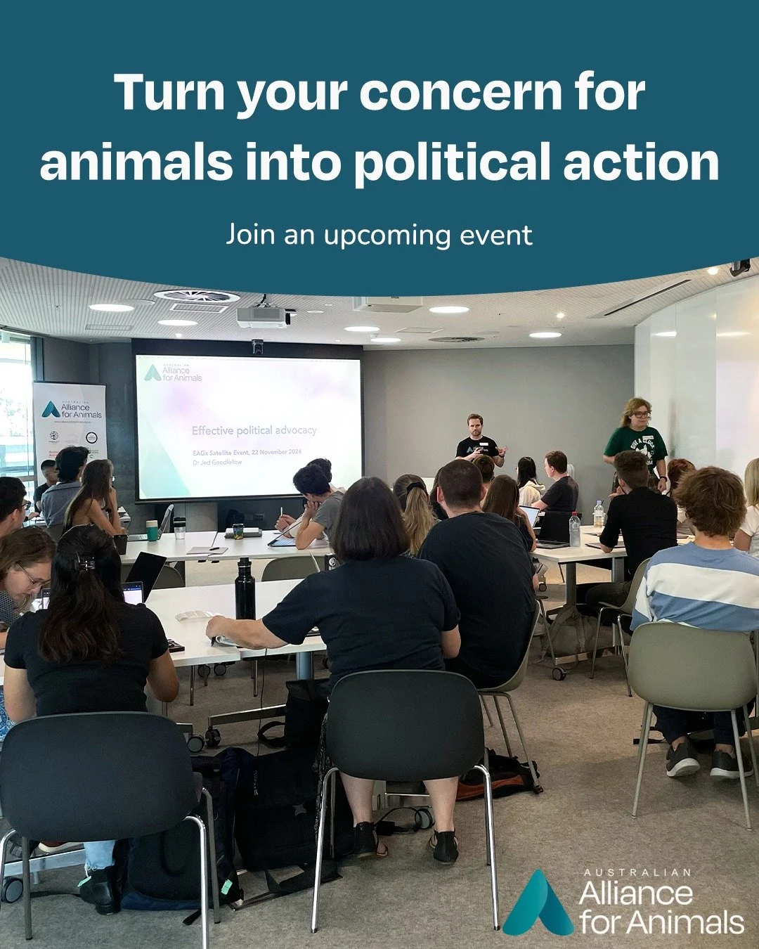Want to turn your concern for animals into action?

Join one of the upcoming advocacy workshops in Melbourne or Sydney to help you effectively engage with your local MP on the animal welfare issues that matter most to you.

We&rsquo;ll provide templa