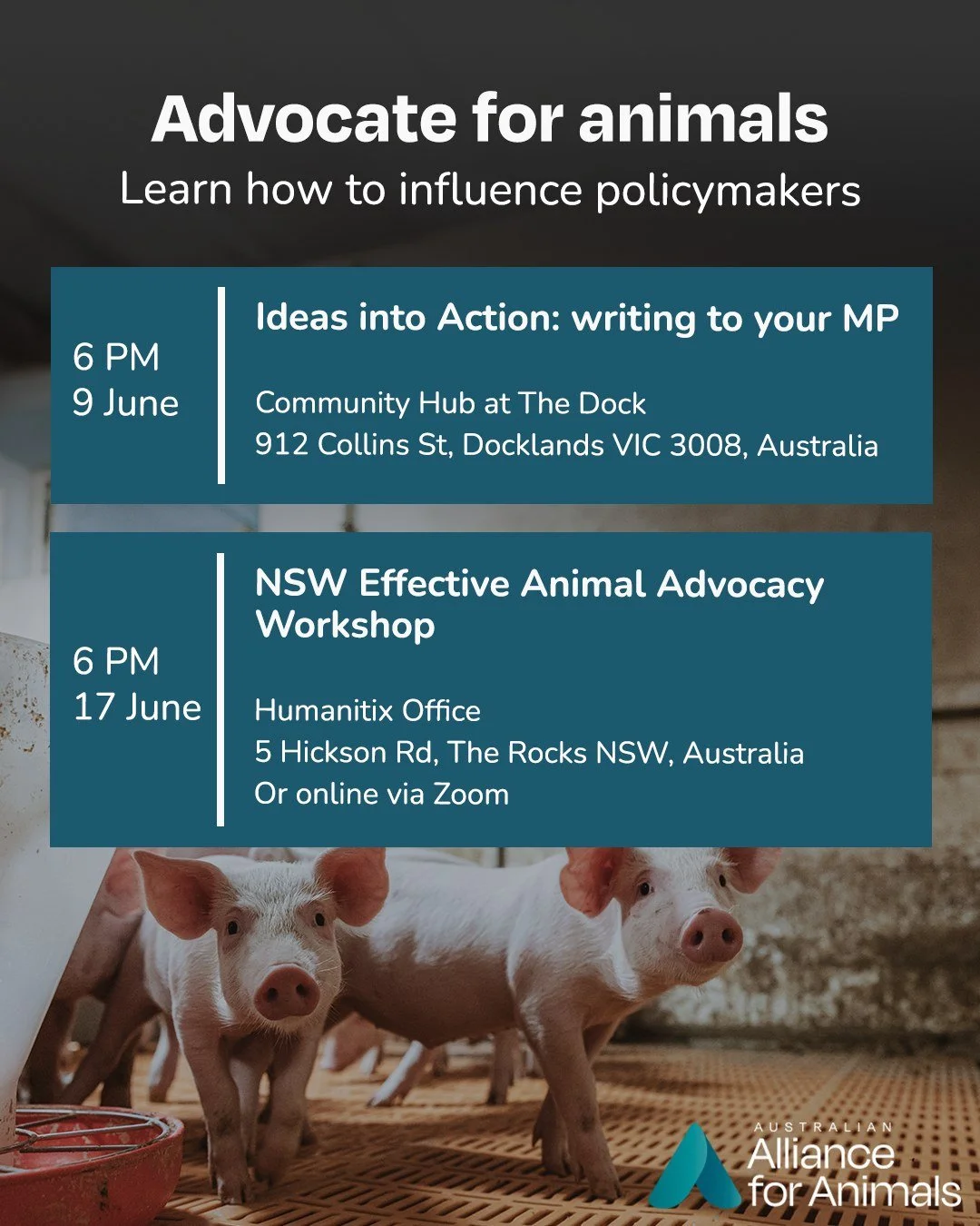 Engaging with politicians can feel overwhelming &mdash; but learning how to effectively engage decision-makers is one of the most powerful ways to create lasting change for animals.

That&rsquo;s why we&rsquo;re leading upcoming advocacy workshops in