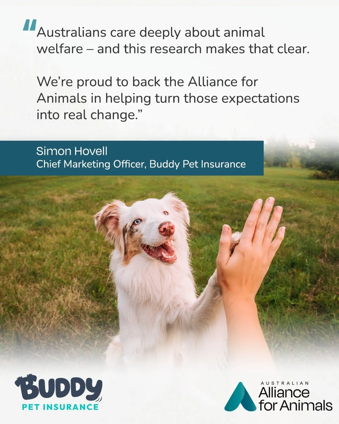 Australians want a future where animals are properly protected &ndash; with laws and systems that recognise animals as sentient beings and prioritise their welfare.

But our current animal welfare system is failing to meet these expectations.

New na